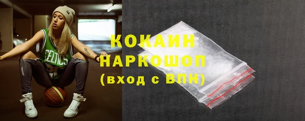 тгк Абаза
