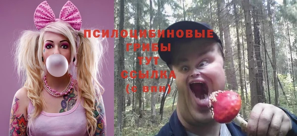 ешки Надым