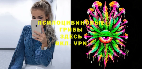 ешки Надым