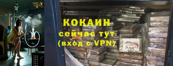 тгк Абаза
