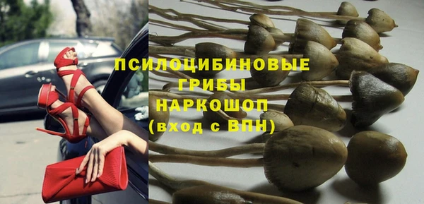 тгк Абаза