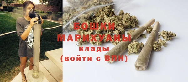 мдпв Навашино