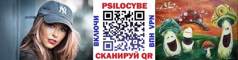 Галлюциногенные грибы Psilocybine cubensis  Рыльск 